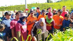 PENANAMAN POHON DI LERENG GUNUNG UNGARAN