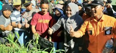 BUPATI KENDAL KEMBALI MENANAM POHON DI LERENG GUNUNG UNGARAN