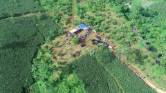 PENANAMAN POHON DI DESA SIDODADI PATEAN BARENG GUB JATENG & BUPATI KENDAL