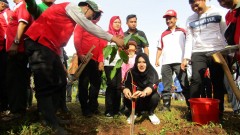 PENANAMAN POHON DI DESA SIDODADI PATEAN BARENG GUB JATENG & BUPATI KENDAL