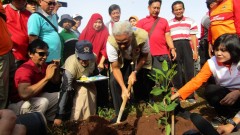 PENANAMAN POHON DI DESA SIDODADI PATEAN BARENG GUB JATENG & BUPATI KENDAL