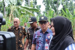 KUNJUNGAN BUPATI DI LOKASI JALAN LONGSOR DSN CIPLUK, SIDODADI, PATEAN