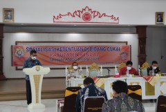 SOSIALISASI KETENTUAN DI BIDANG CUKAI
