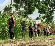 KPUD KENDAL TELAH SELESAI DISTRIBUSIKAN KOTAK SURAT SUARA