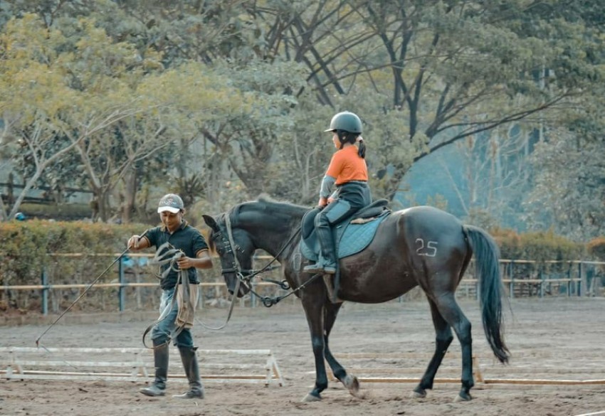 Santosa Stable Lokasi Wisata Berkuda dengan Panorama Alam