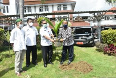 KELAPA KOPYOR