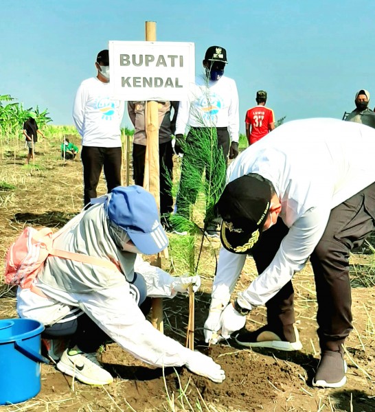 Pemkab Kendal Gelar Aksi Bersih Pantai dan Tanam Mangrove