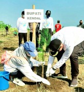 Pemkab Kendal Gelar Aksi Bersih Pantai dan Tanam Mangrove