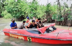 Wakil Bupati Kendal Hadiri Acara Penanaman Bibit Bakau di Desa Kalirejo