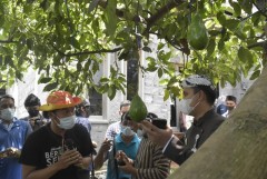 Desa Gondang akan Menjadi Desa Wisata Percontohan