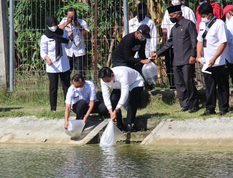 Pemkab Kendal Kuatkan Ketahanan Pangan Melalui Penebaran Bibit Ikan