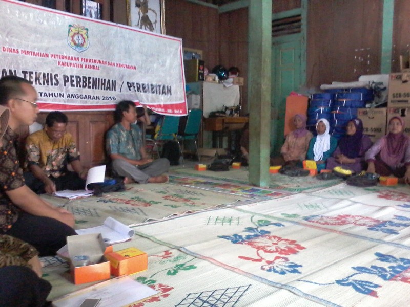 PETANI DIDIDIK MENJADI PRODUSEN BENIH BERSERTIFIKAT