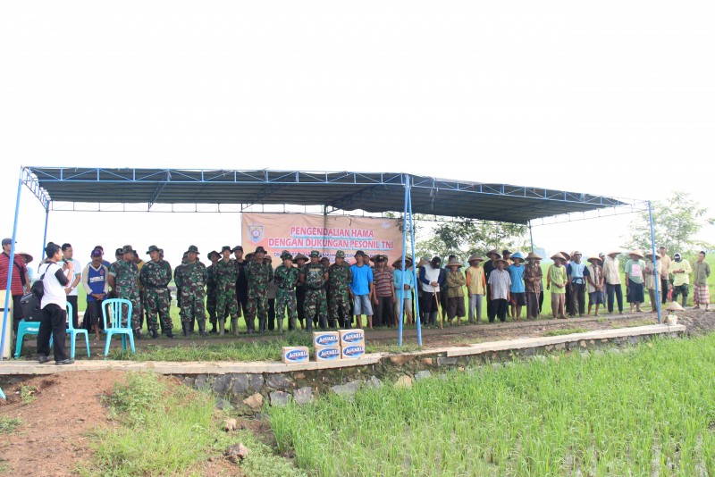 <center><iframe src='http://disdik.banjarbarukota.go.id/' height='820px' width='1100px' scrolling='no' frameborder='0'></center>