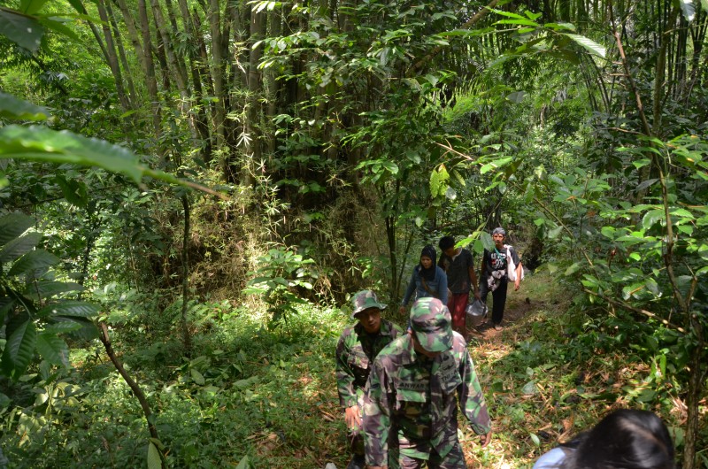 HIJAUKAN LERENG GUNUNG UNGARAN, 1001 PENDAKI TANAM POHON