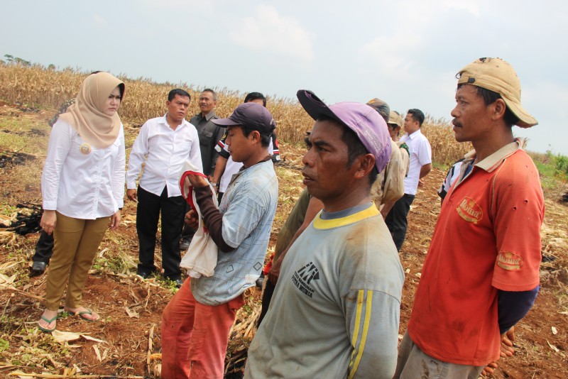 PENYELESAIAN LAHAN EKS SUMURPITU LEBIH KOMPREHENSIF