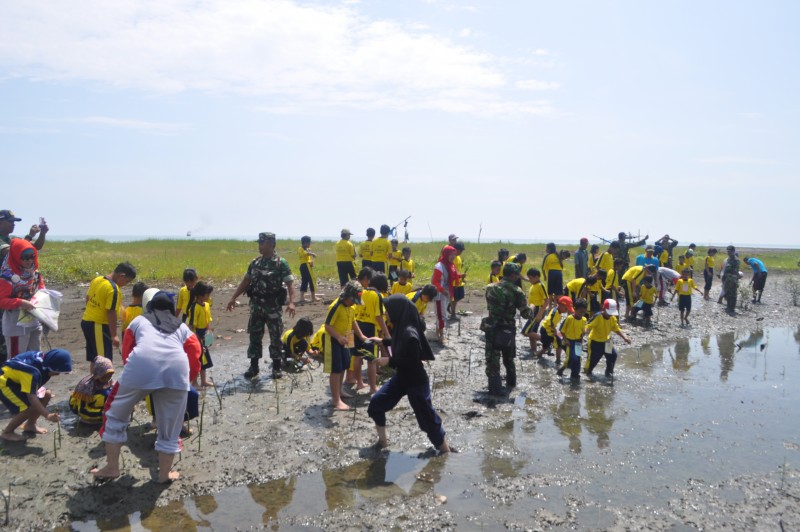 81 PELAJAR SD ANANDA TANAM BIBIT MANGROVE