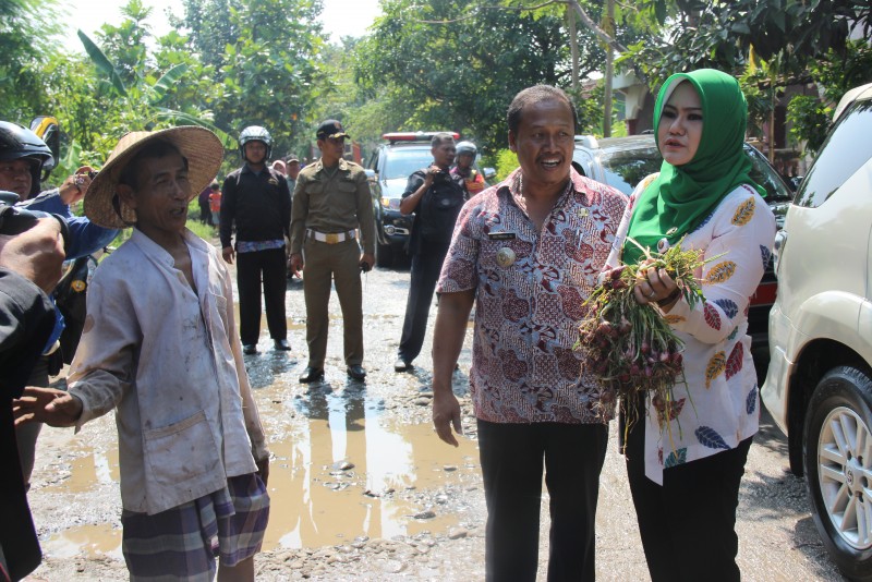 PETANI KENDAL HARUS JADI TUAN DI RUMAH SENDIRI