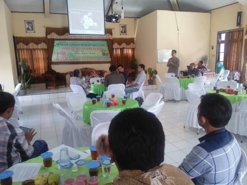 JAMBU GETAS MERAH YANG TETAP MENJANJIKAN