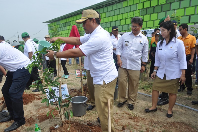 CIPTAKAN KIK ASRI DAN HIJAU DENGAN TANAM POHON