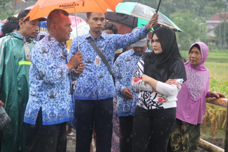 BUPATI MIRNA TINJAU JEMBATAN KALIPUTIH YANG PUTUS LAGI