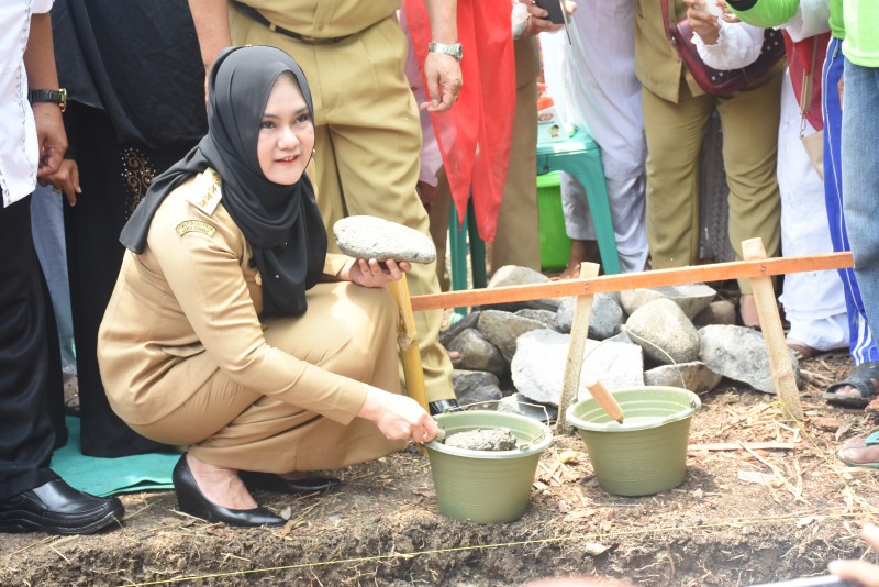 KENDAL TARGETKAN 2018 SELURUH DESA BERJAMBAN SEHAT