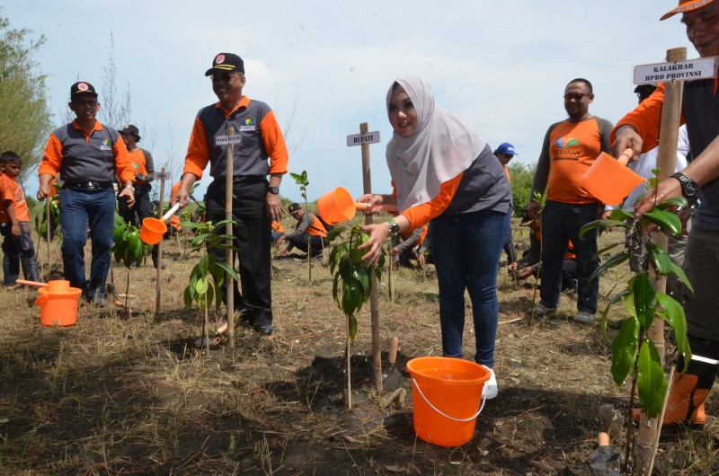 BUPATI: PULAU TIBAN POTENSI BESAR PARIWISATA KENDAL