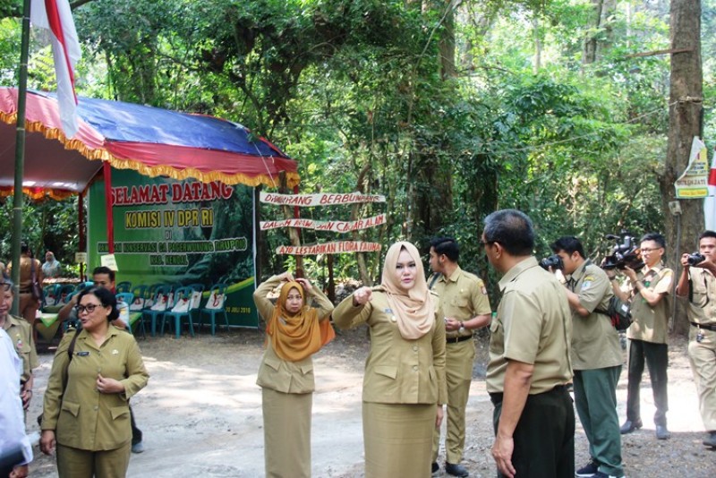 KAWASAN CAGAR ALAM DARUPONO KENDAL BAKAL JADI OBJEK AGROWISATA