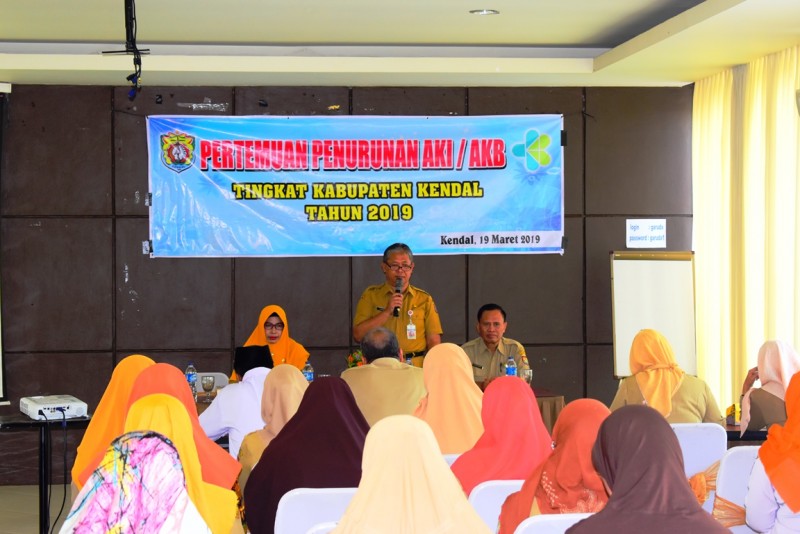 PENURUNAN ANGKA KEMATIAN IBU, BAYI SERTA BALITA BUTUH KERJASAMA SEMUA PIHAK