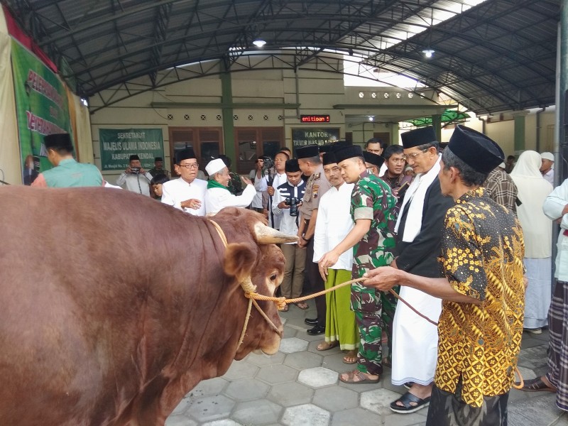 MASJID AGUNG KENDAL KHITANKAN 131 ANAK DAN SEMBELIH 10 HEWAN KURBAN