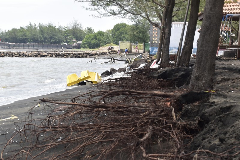 Pantai Sendang Sikucing Mengalami Abrasi