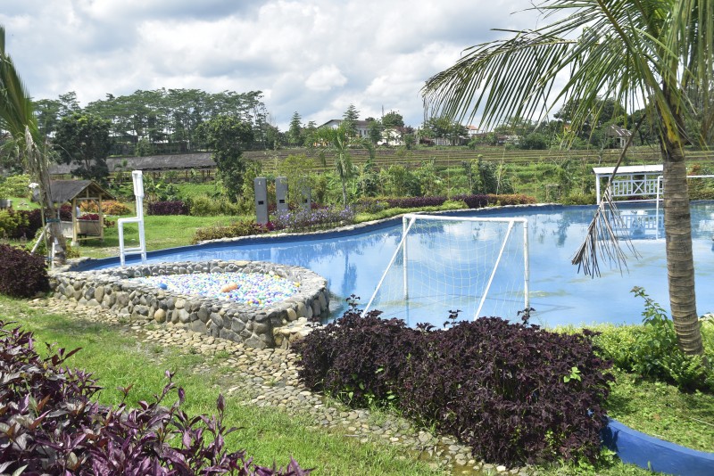 Kendal Memiliki Wisata Bernuansa Pemandangan Sawah Pedesaan
