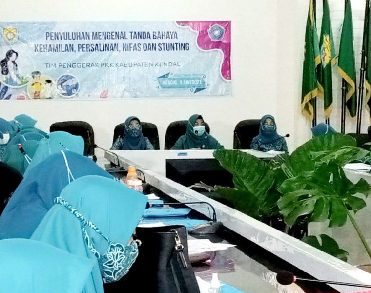 Ketua Tim Penggerak PKK Kendal Fokus Pada Penanganan Stunting