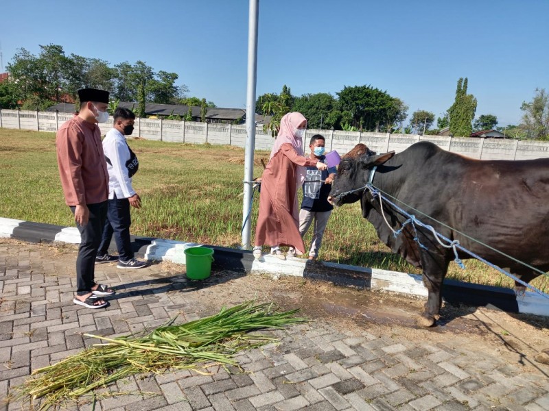 Idul Adha, Bupati Kendal dan Istri Siapkan 20 Sapi untuk Masyarakat Kendal