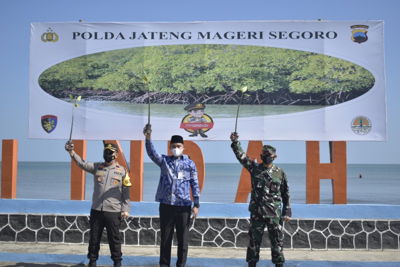 Program Mageri Segoro dalam Rangka Melindungi Garis Pantai