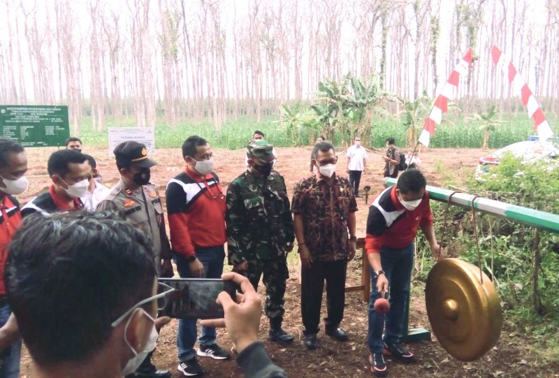 Perhutani Regional Jateng dan Pemkab Kendal Hijaukan Petak 21 Darupono
