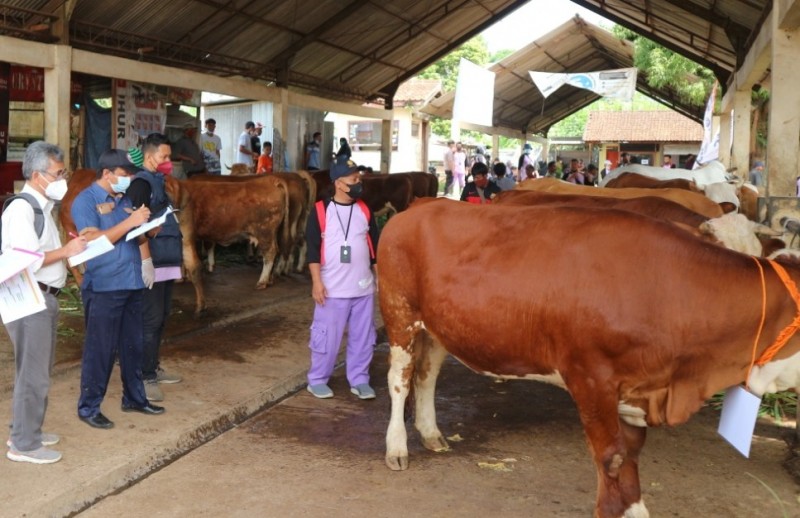 Tingkatkan Hasil Pertenakan, Dinas Pertanian dan Pangan Kendal Gelar Lomba