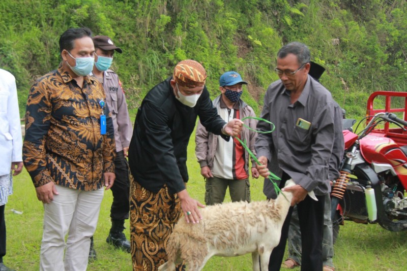 7 Kelompok Ternak Desa Purwosari Mendapat CSR PT. BPR BKK