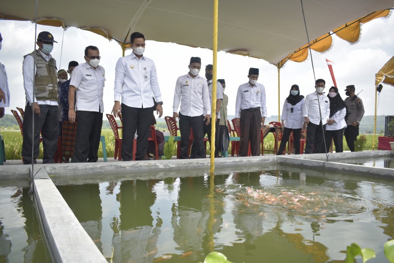 Bupati Kendal Lakukan Monitoring Hasil Pembangunan BKK Desa Jerukgiling