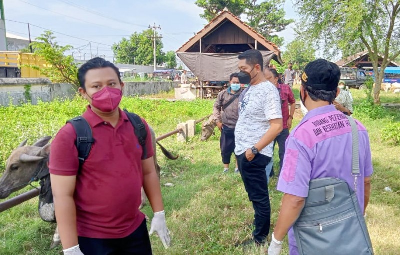 Pemkab Kendal Antisipasi Sejak Dini Terkait Penyakit Mulut dan Kuku Hewan