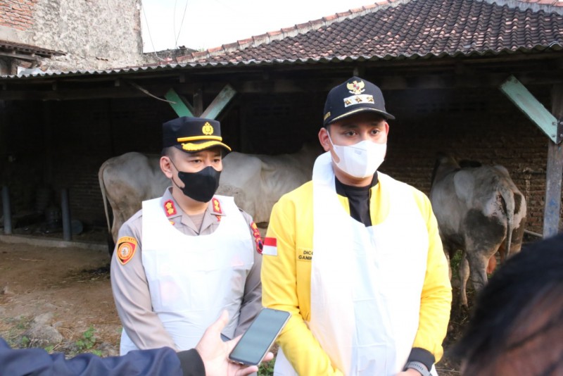 Bupati Dico: PMK Tidak Boleh Meluas Lagi