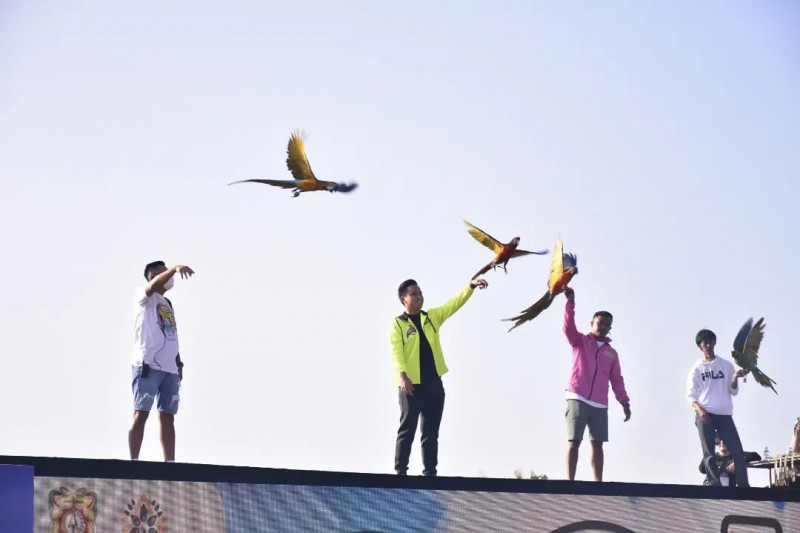 Bupati Cup Burung Macaw Tahun 2022 Berlangsung Selama 2 Hari