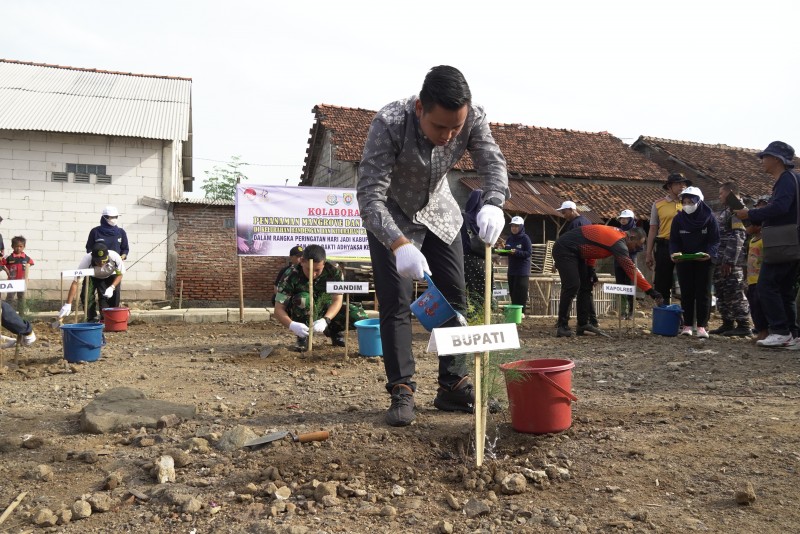 Giat Kolaborasi Penanaman 2500 Bibit Cemara Laut dan Mangrove