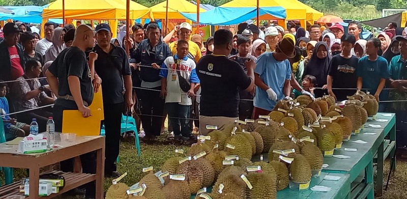 Pemerintah Desa Kebongembong Gelar Festival Durian