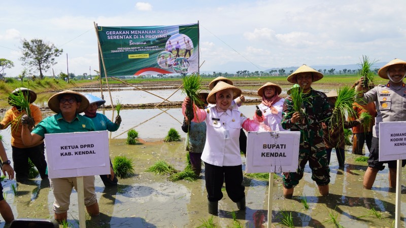 Bupati Kendal Dukung Jawa Tengah Jadi Lumbung Pangan Nasional