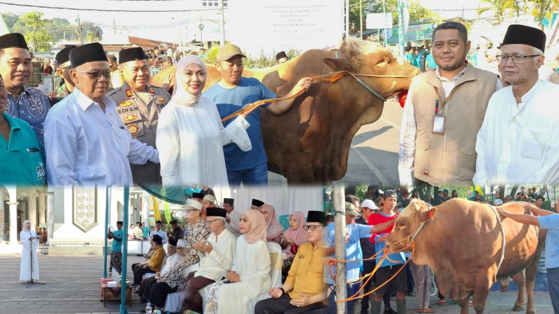 Bupati Kendal Serahkan Bantuan Sapi dari Presiden RI ke Masjid Almuttaqin