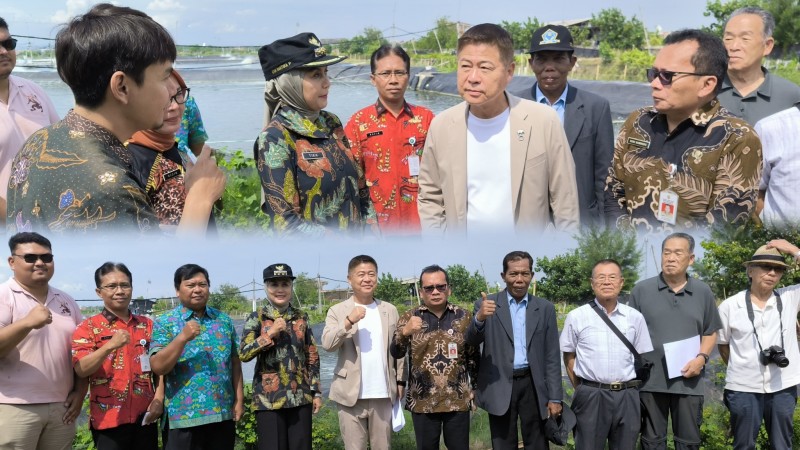 Wali Kota Sue Machi Tinjau Tambak Udang Vaname di Kendal