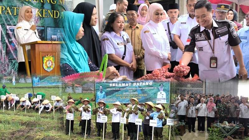 Bupati Kendal Dorong Kesejahteraan Petani dan Stabilitas Harga
