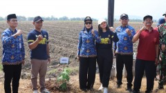Bupati Kendal Hadiri Karta Menanam, Dorong Penghijauan dan Ketahanan Pangan