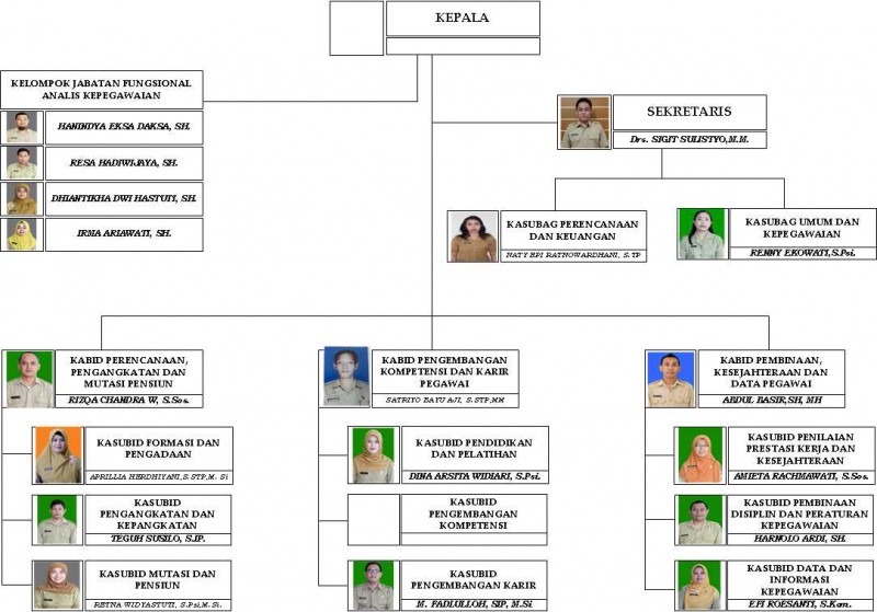 Struktur Organisasi