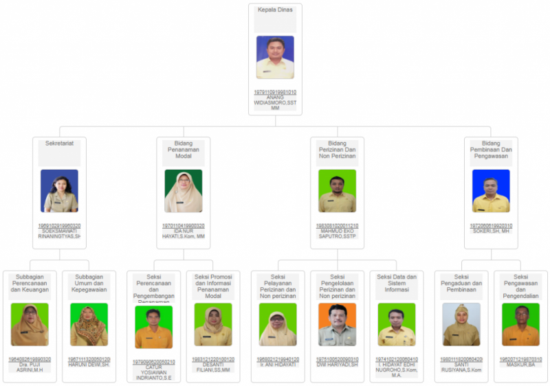 Struktur Organisasi